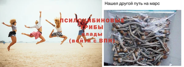 героин Алзамай