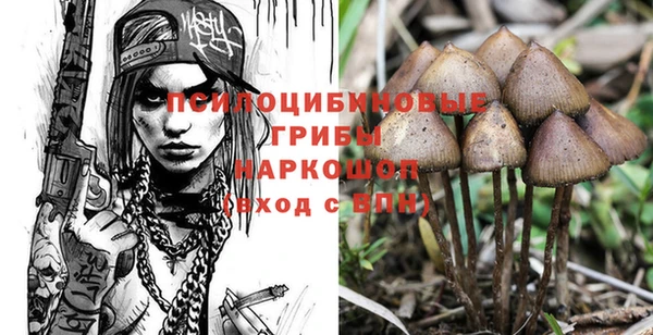 ECSTASY Алексеевка